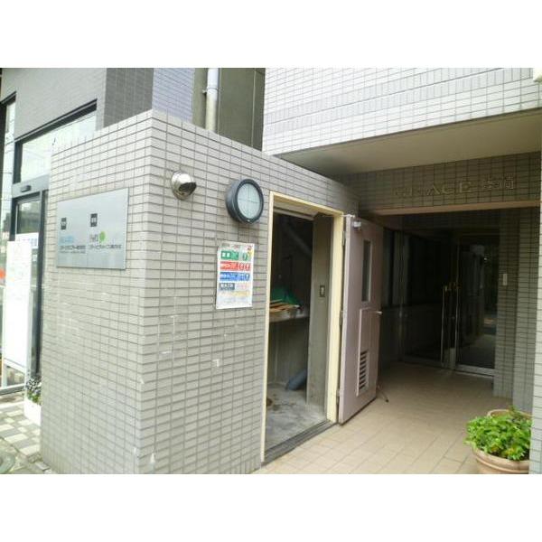 Other introspection. Garbage Storage