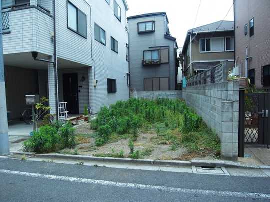 Local land photo