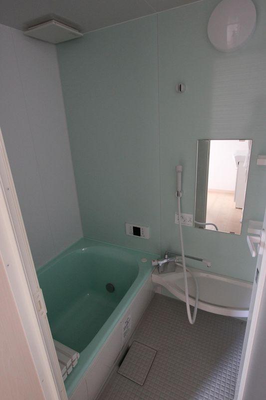 Bathroom. Bathroom
