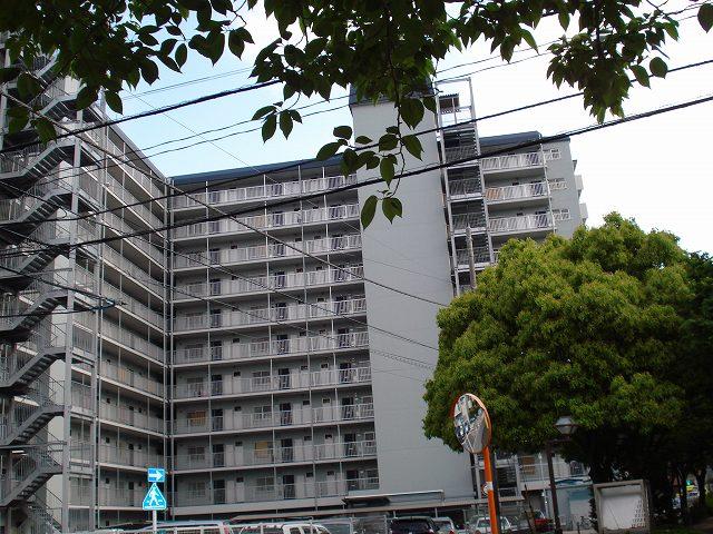 Local appearance photo. Local (July 2013) Shooting