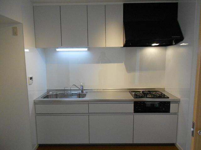 Kitchen. Indoor (July 2013) Shooting