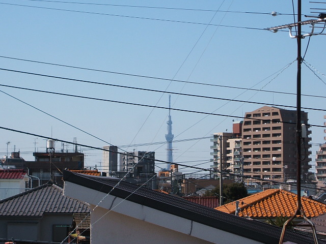 View
