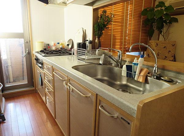 Kitchen. Also to the balcony is out possible 2WAY kitchen (about 4 Pledge)