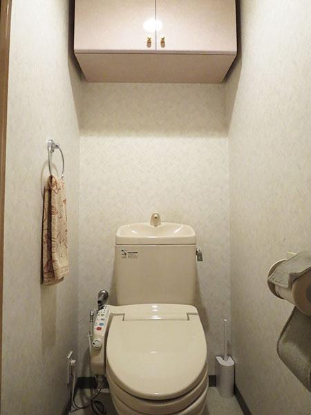 Toilet. Shower is equipped with toilet function! Hanging cupboard offers a basis to installation