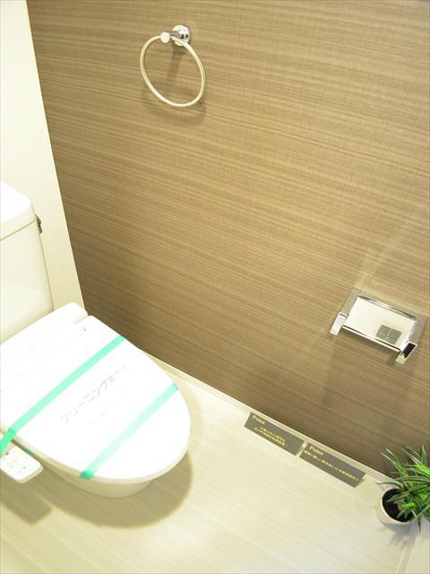 Toilet. Exchange to Washlet