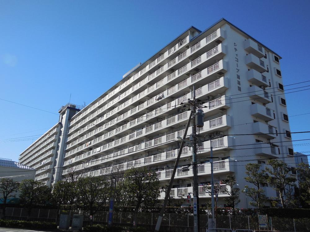 Local appearance photo. Is a positive per well in the southeast direction