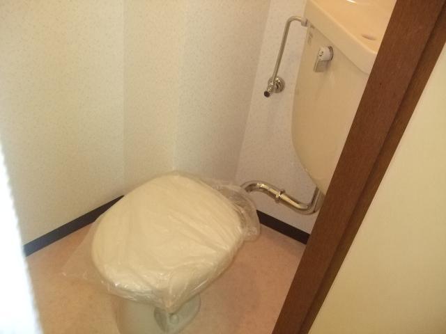 Toilet. Toilet