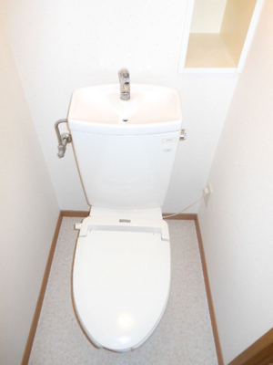 Toilet. Toilet