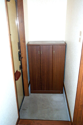 Entrance. Shoes BOX
