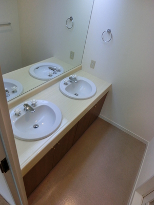 Washroom. Independent wash basin of a large mirror