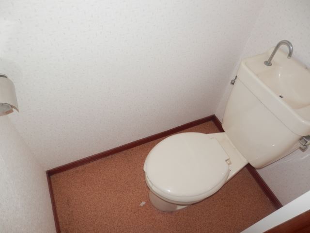 Toilet. Toilet