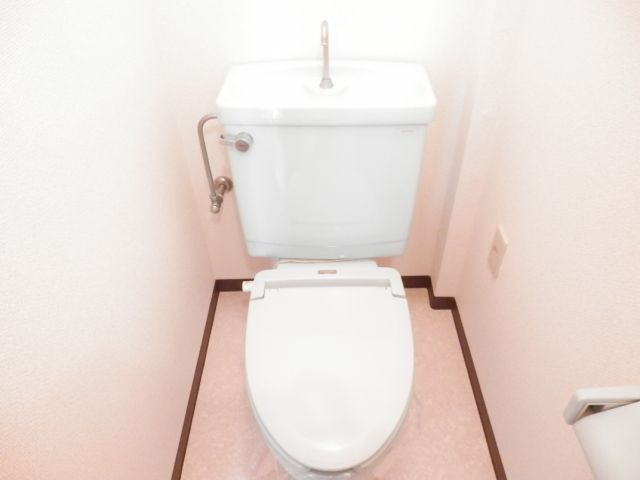 Toilet. Toilet