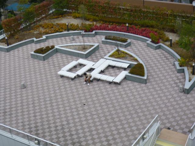 Garden. Terrace Garden: (12 May 2013) Shooting