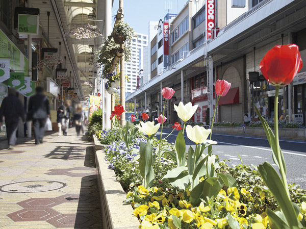 Surrounding environment. Koiwa Flower Road shopping district (a 10-minute walk, About 750m)