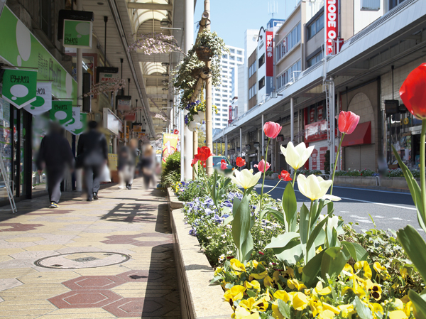 Surrounding environment. Koiwa Flower Road shopping street (a 5-minute walk, About 400m)