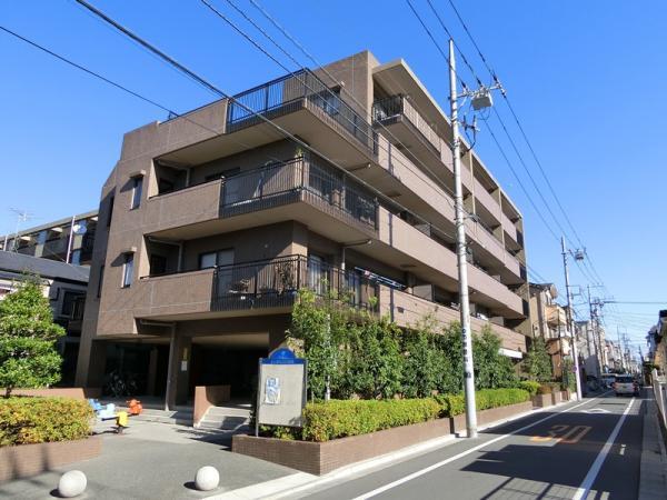 Local appearance photo. Appearance (December 2013 shooting)