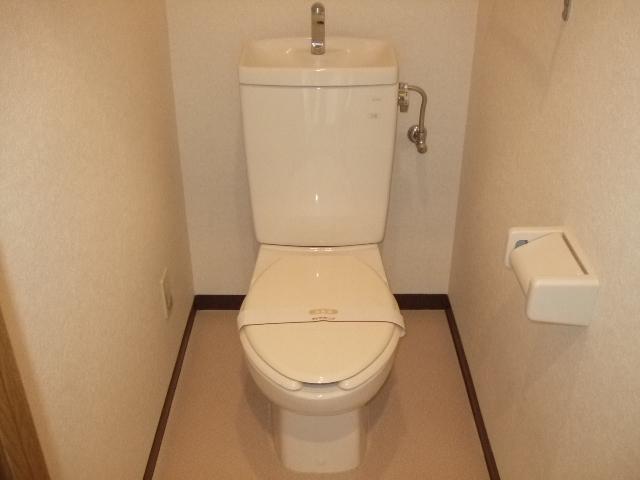 Toilet. Toilet