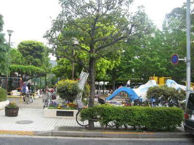Other. park