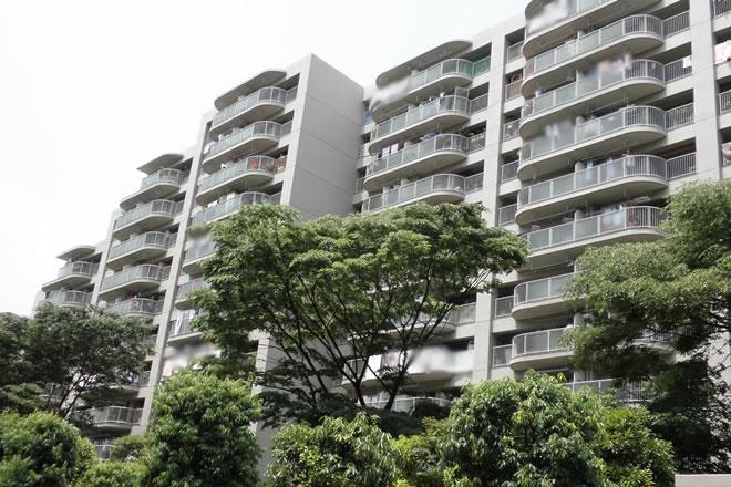 Local appearance photo. Surrounding environment to feel natural