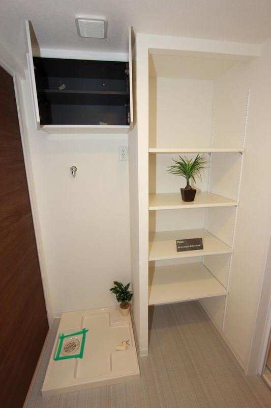 Other introspection. Washing machine storage and storage shelf