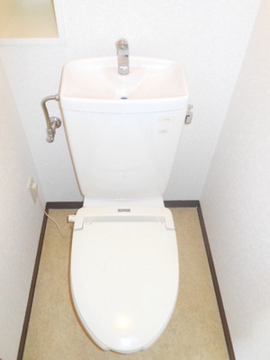 Toilet. Toilet