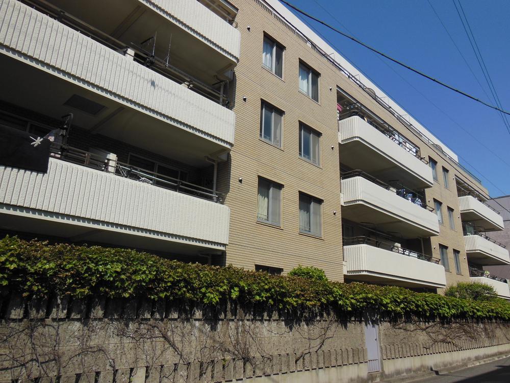 Local appearance photo. Local (June 2013) Shooting