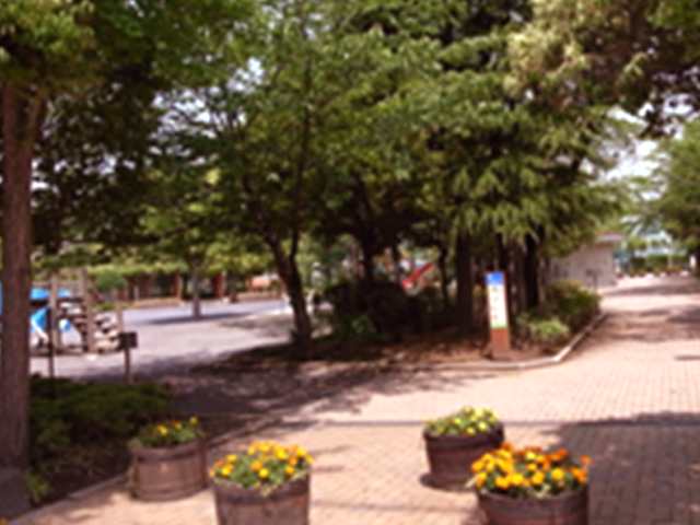 Other. Koiwa park