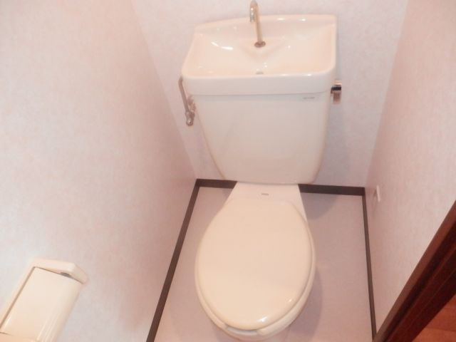 Toilet. Toilet