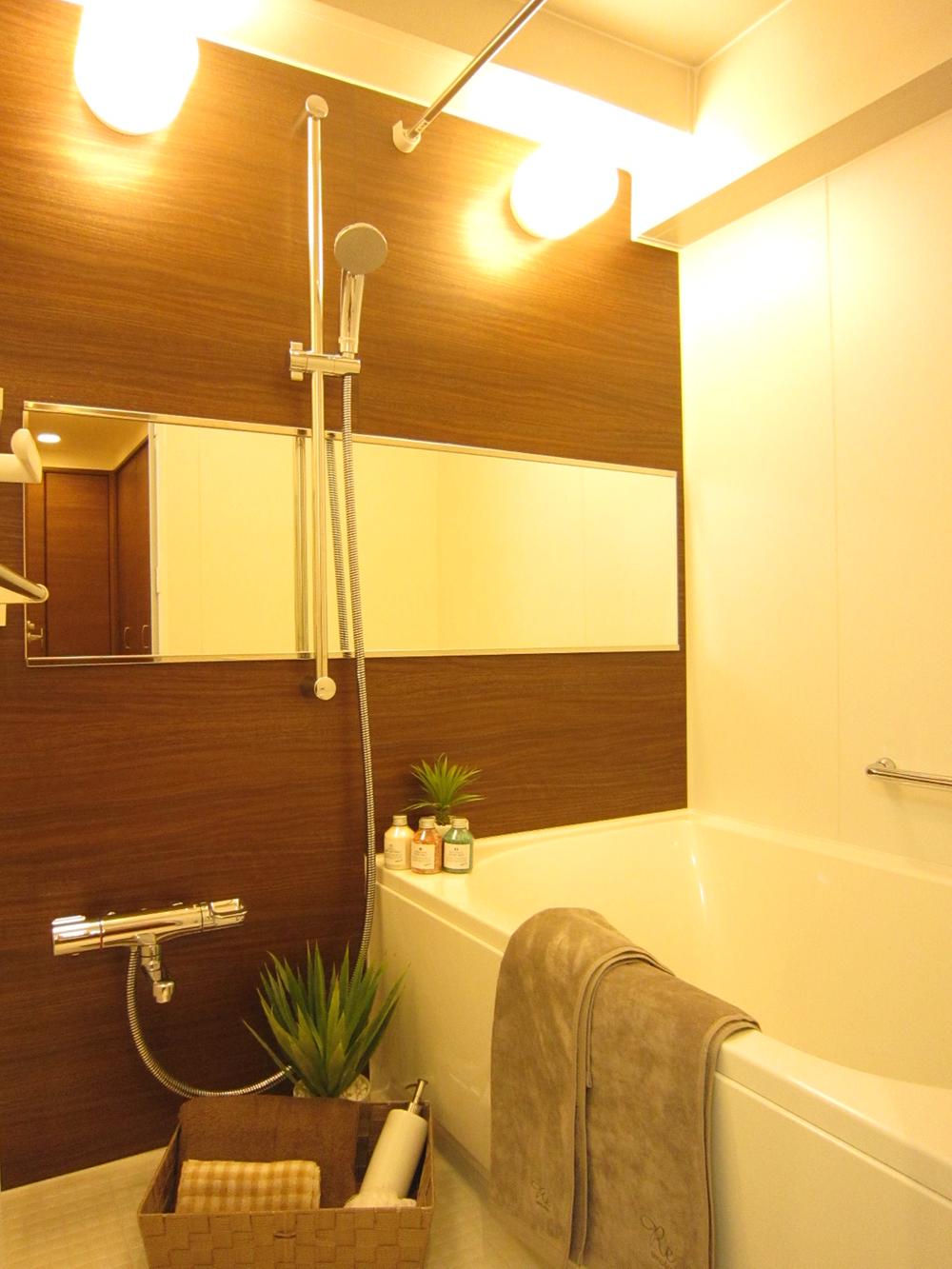 Bathroom. Indoor (11 May 2013) Shooting