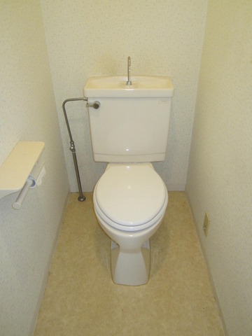 Toilet. Toilet