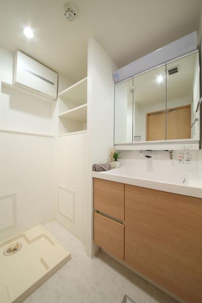 Wash basin, toilet. Local (10 May 2013) Shooting