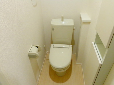 Toilet. Reference photograph
