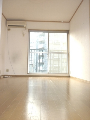 Living and room. Dihedral is daylight bright rooms.