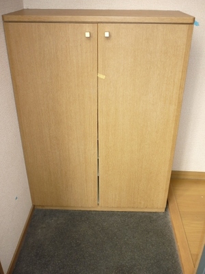 Entrance. It is a useful shoebox.