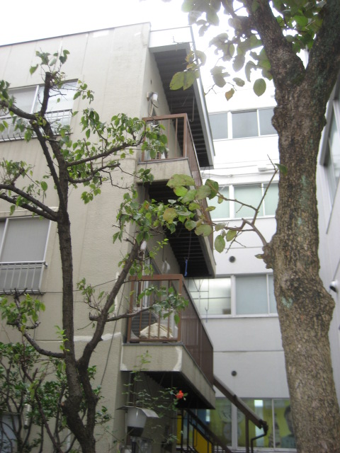 Building appearance
