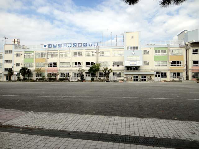 Primary school. To medium Koiwa Elementary School 550m