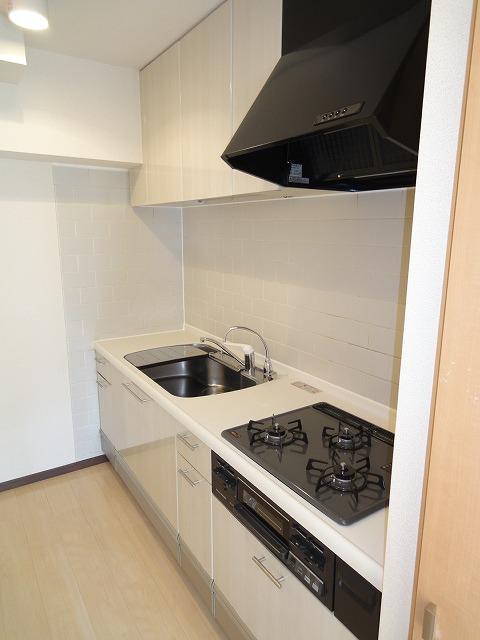 Kitchen. Indoor (11 May 2013) Shooting