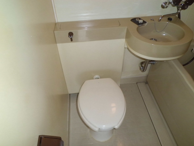 Toilet