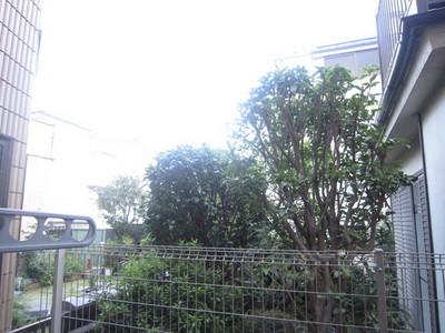 View. Sunny