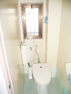 Toilet. Toilet