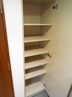 Other. Shoes BOX