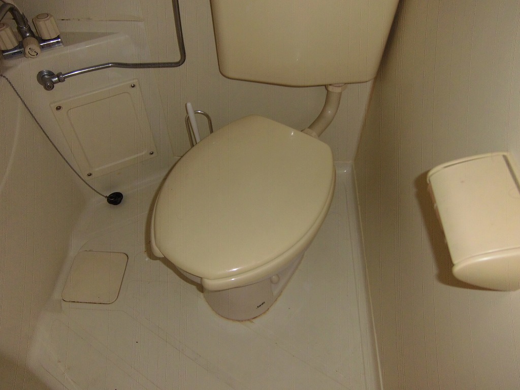 Toilet