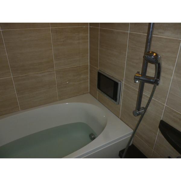 Bathroom. TV with bathroom