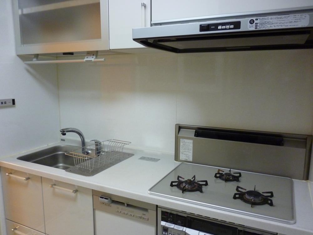 Kitchen. Indoor (12 May 2013) Shooting