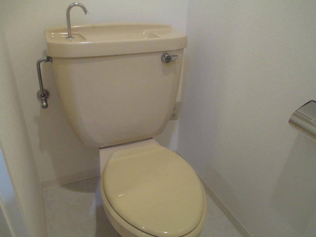Toilet. Toilet