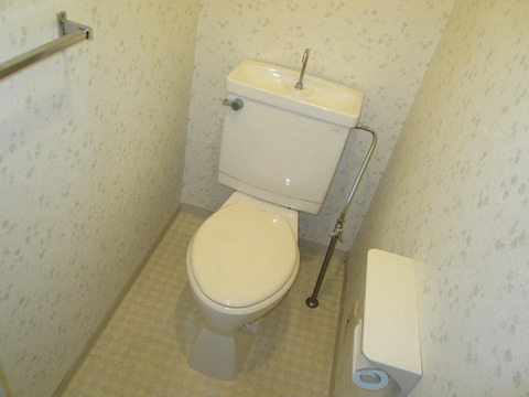 Toilet. Toilet