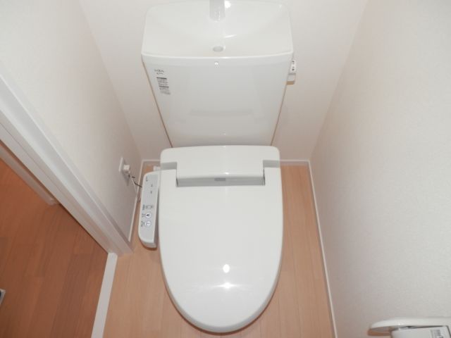 Toilet. Toilet
