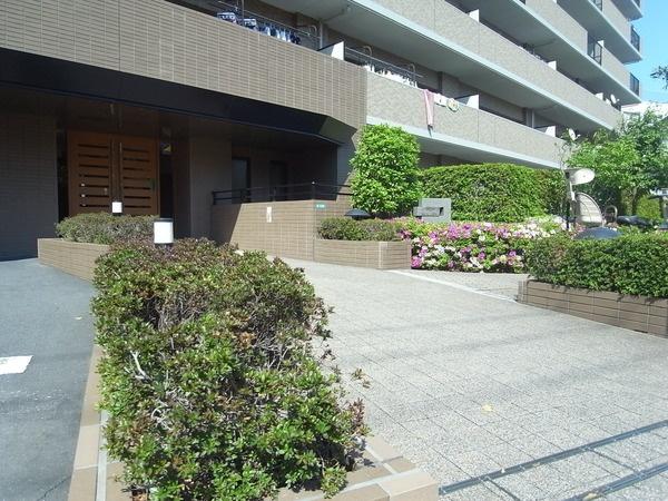 Local appearance photo. (September 2013) Shooting