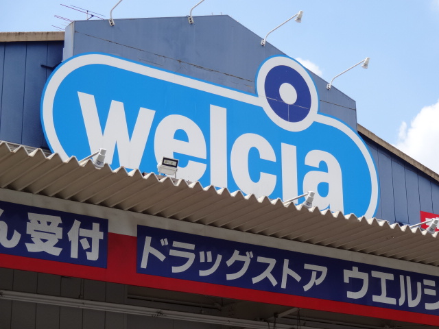 Dorakkusutoa. Uerushia Edogawa Nakakasai shop 483m until (drugstore)
