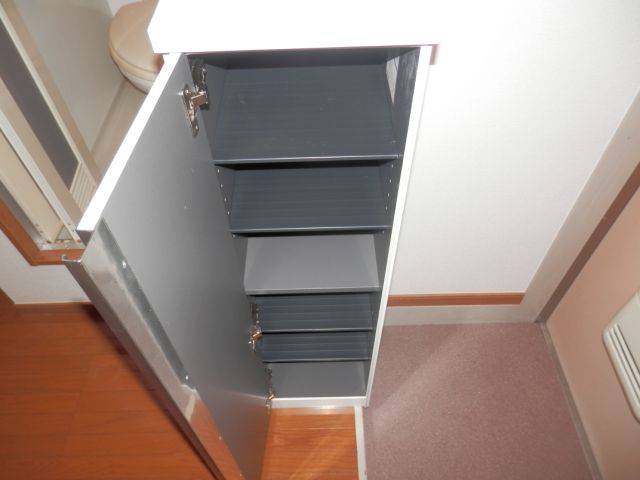 Entrance. Cupboard